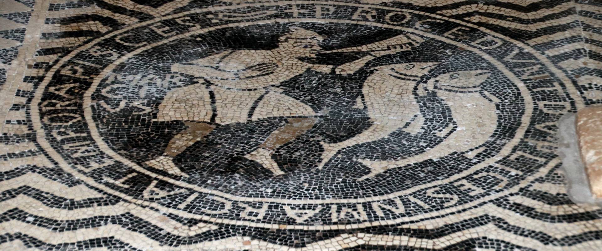 Basilica di San Savino (Piacenza), mosaico con segni zodiacali entro medaglioni, prima metà del secolo xii 15 photo by Mongolo1984